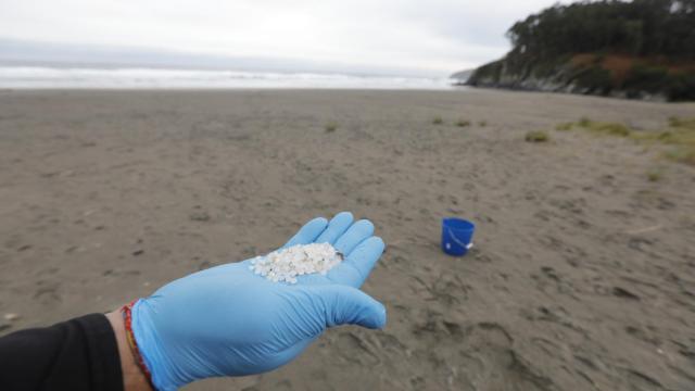 Un operario coge 'pellets' de plástico en la playa Otur, en Asturias.