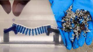 El robot inspirado en los caracoles y los microplásticos hallados en playas de Galicia