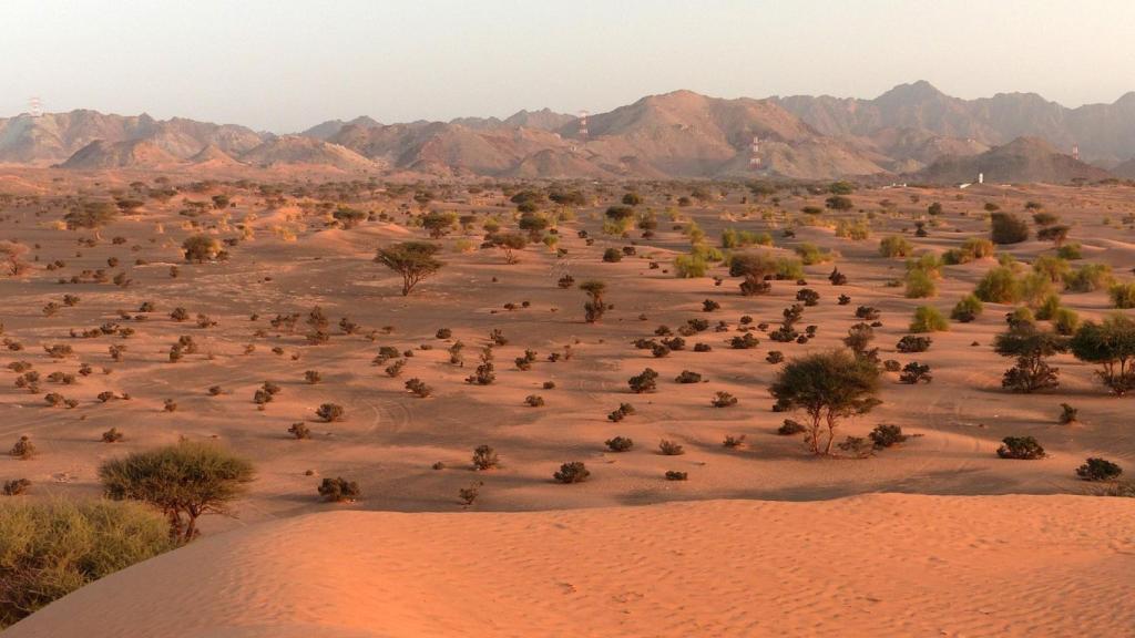 Jebel Shams es  la montaña más alta de Omán, de 3075 metros.