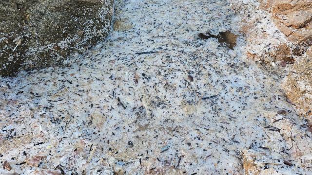 'Pellets' en la playa