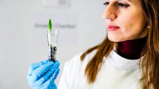 Dra. Eleni Stavrinidou con eSoil, cultivo hidropónico eléctrico