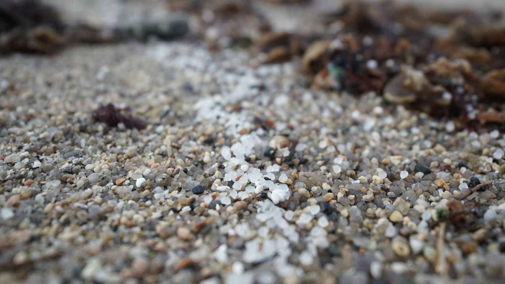 Pellets de plástico en la playa de Sabón.
