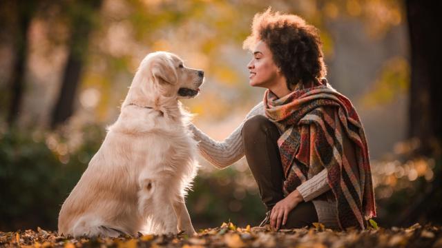 Una mujer habla con su perro en un parque.