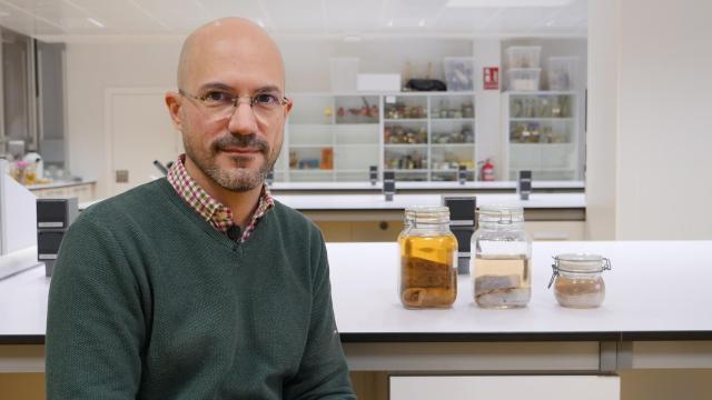 Juan Pascual Anaya, director del proyecto. Universidad de Málaga.