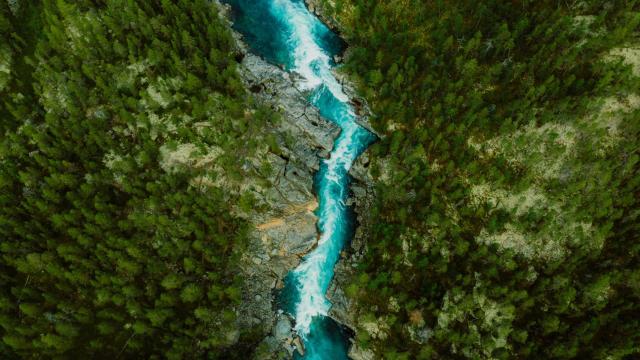 Vista aérea panorámica del paisaje de montaña con un bosque y el río azul cristalino en el Parque Nacional Jotunheimen (iStock).