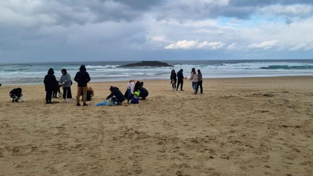 Alumnos de Valdoviño (A Coruña) se suman a las tareas de retirada de pellets de las playas