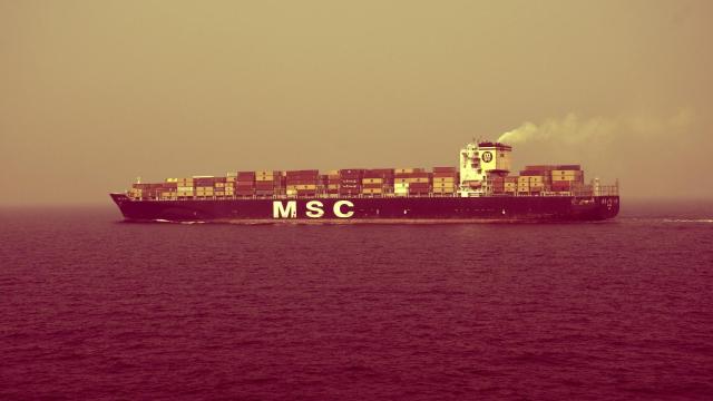 MSC