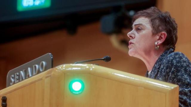 La portavoz de Bildu, Maite Aizpurua, este jueves durante el debate celebrado en la Cámara Alta.