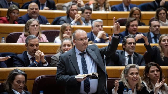 Miguel Tellado, en el Hemiciclo del Senado hace unos días.