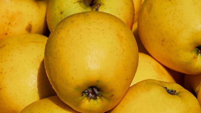 Manzana golden.