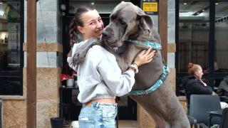 Carla Castro y Jagger en el Monti Bar de Culleredo.