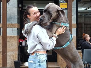 Carla Castro y Jagger en el Monti Bar de Culleredo.