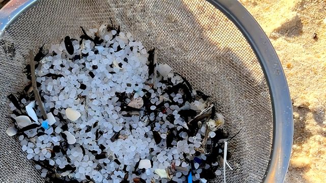 Bolas de plástico encontradas en las playas de Galicia.