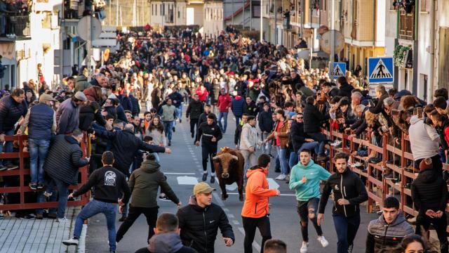Ciudad Rodrigo disfruta del Toro de San Sebastián como antesala del Carnaval
