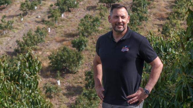 Sigfrido Molina, CEO de Sigfrido Fruit