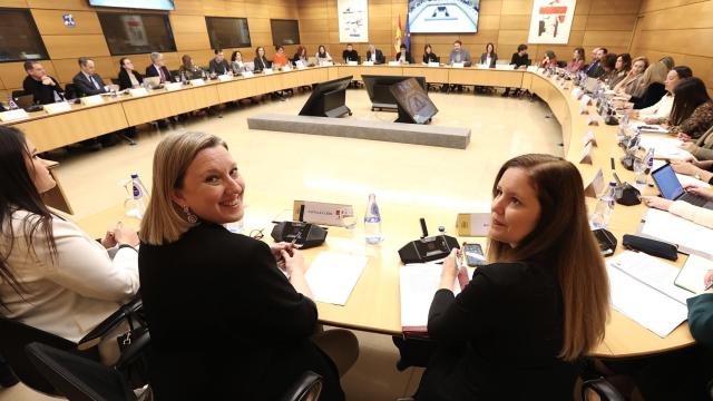 La consejera de Familia e Igualdad de Oportunidades, Isabel Blanco, en la Conferencia Sectorial de Infancia y Adolescencia, este lunes.