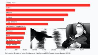 Estimación de nuevos casos de cáncer para 2024.