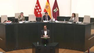El concejal de Más Madrid Álvaro Fernández Heredia, en el atril del Pleno de Cibeles.