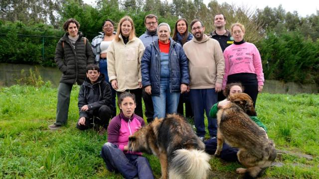 Proyecto piloto con perros de terapia.