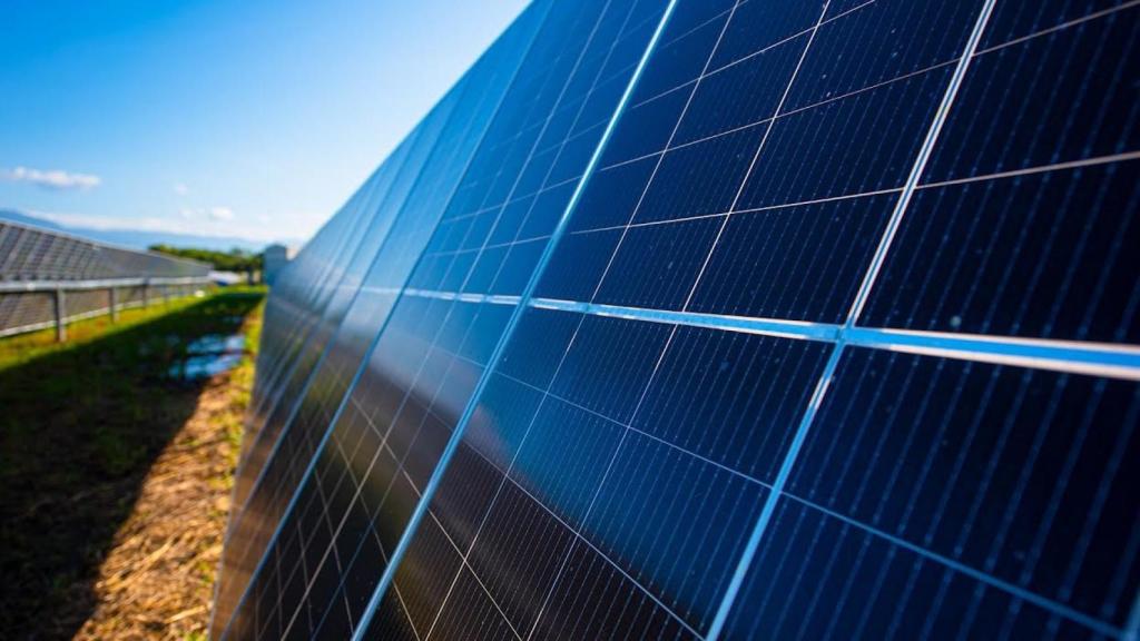 Paneles fotovoltaicos de una planta de suelo.