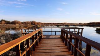 Tablas de Daimiel (Ciudad Real). Imagen de archivo de Europa Press