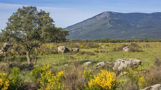 La zona del Monte de Abantos, donde ha sido hallado el cuerpo.