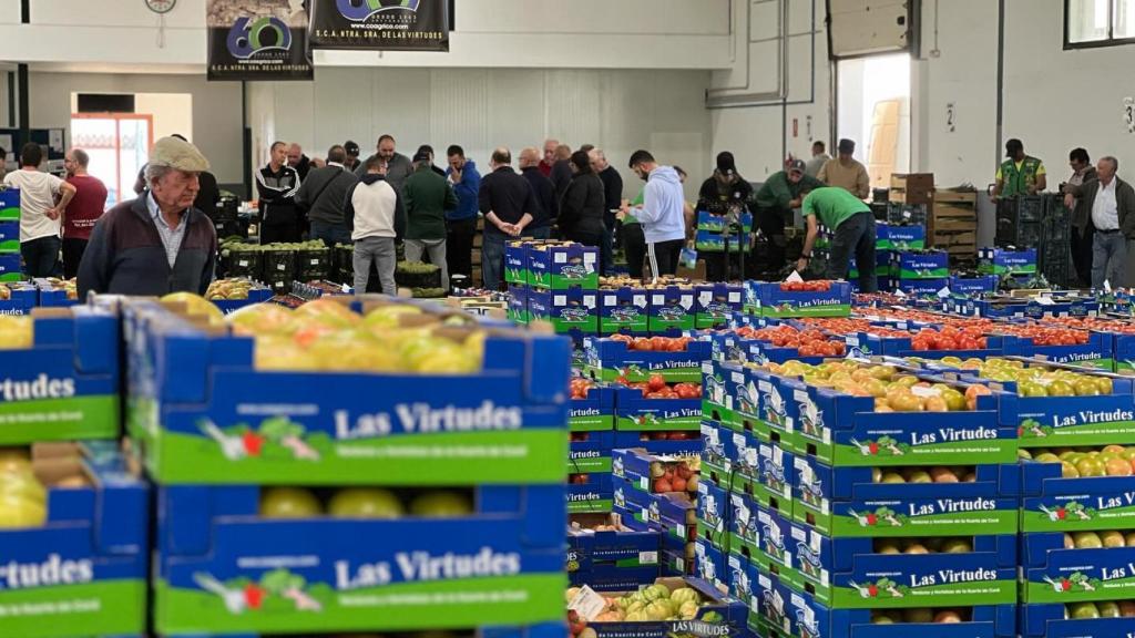 Lonja de una cooperativa de frutas