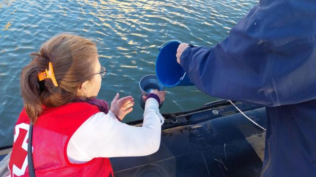 Muestreo de Cruz Roja en el río Pisuerga