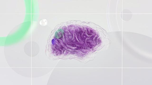 Cerebro. Imagen: Pexels/Google DeepMind