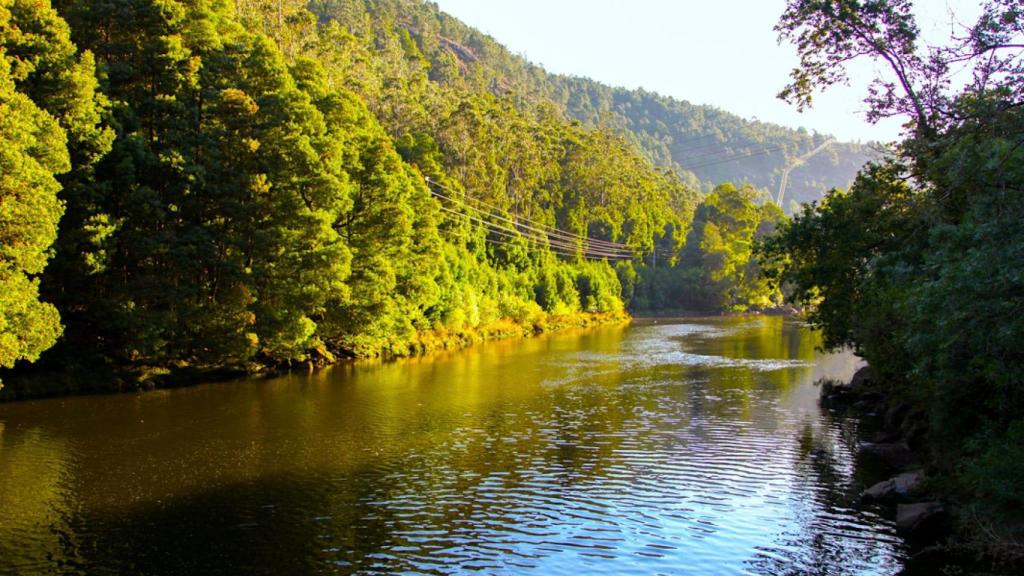 Ruta por la Devesa del Nimo en el río Tambre
