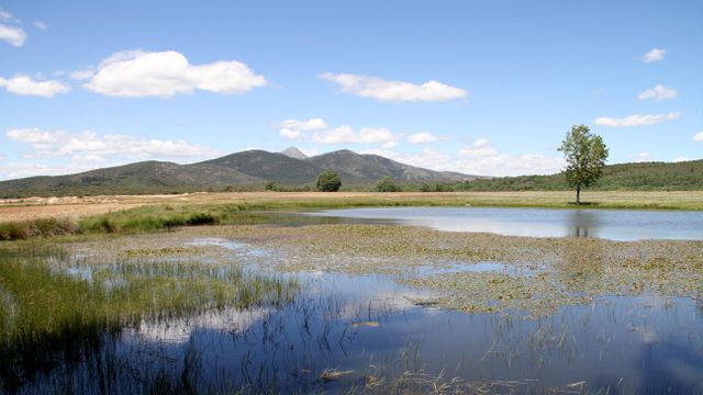 Sierra Norte de Guadalajara.