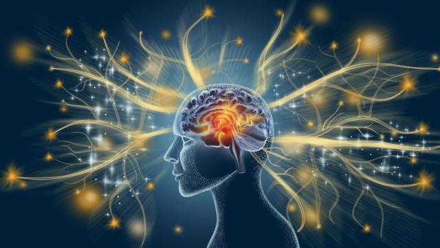 Ilustración de un cerebro.