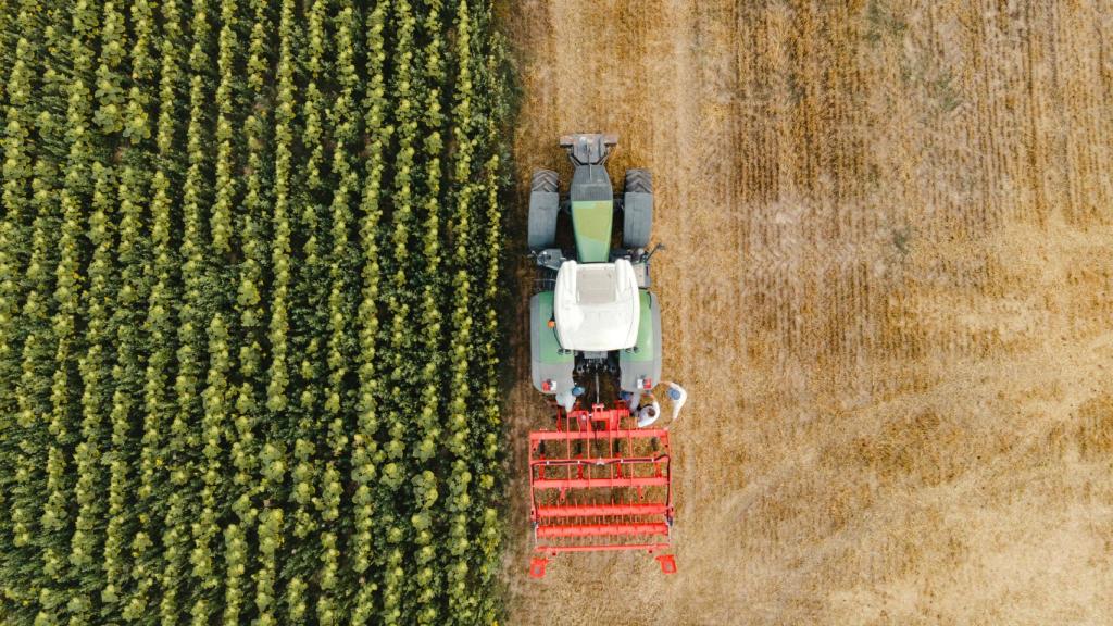 Un tractor en un campo.