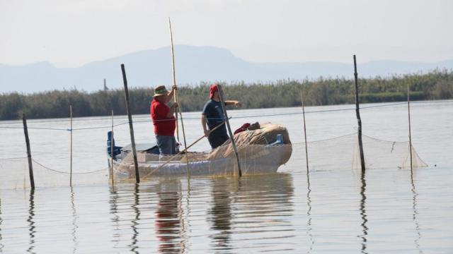 Una vista de las barcas en la Albufera, en Valencia.