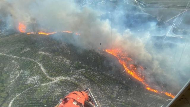 Incendio forestal en Hellín (Albacete). Foto: Plan Infomur.