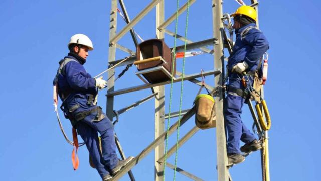 Trabajadores de Endesa.