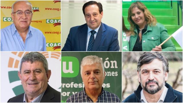 Arriba, de izq a dcha: Miguel Padilla (COAG), Pedro Barato (Asaja), Lola Guzmán (Plataforma 6F); Abajo: Lorenzo Ramos (UPA), Luis Cortés (Unión de Uniones) y Joan Caball (Unió de Pagesos)