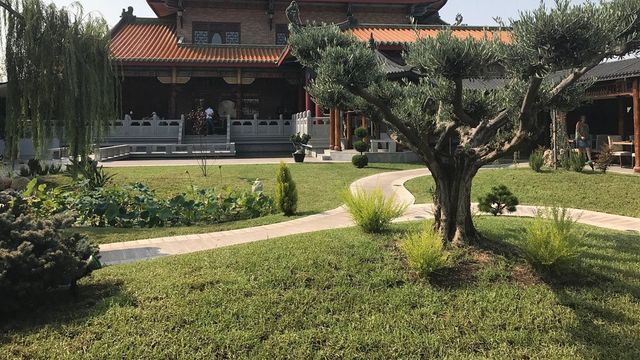 Dinastía lleva más de 20 años en Torrevieja.