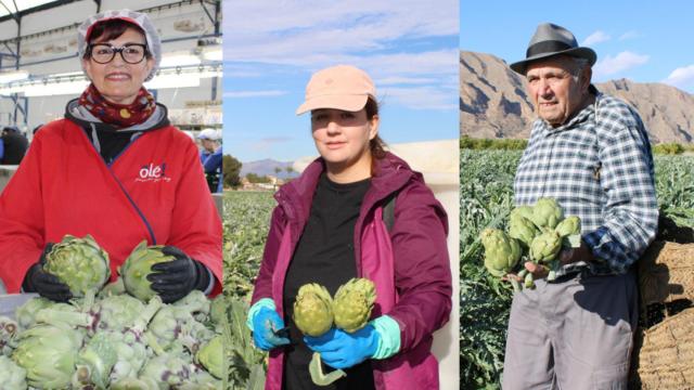 Silvia, Lizhet y Tano representan las tres generaciones del campo de la alcachofa.