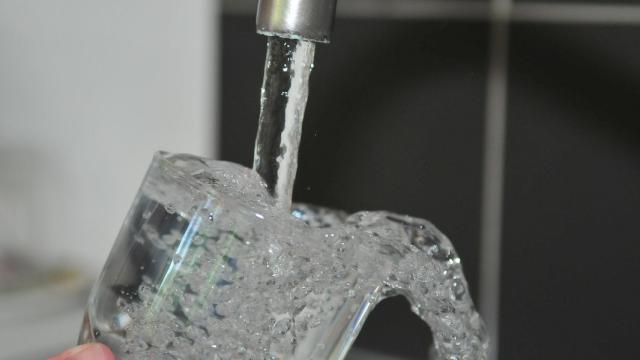 Agua de grifo.