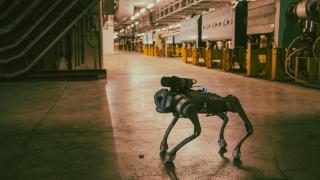 Perro robot del CERN