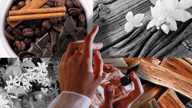 Diseño El poder del olfato.