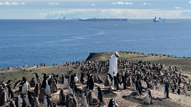 Los virólogos recogen muestras ambientales de la zona para analizarlas al día siguiente.