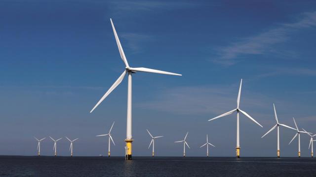 Parque eólico marino de Iberdrola.