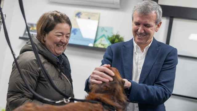 Rueda, en una visita a una clínica veterinaria, hoy en Ponteareas.