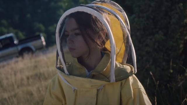 Fotograma tráiler '20.000 especies de abejas'.