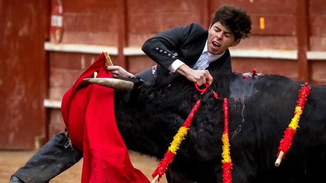 El novillero Julio Méndez, herido por una cornada en el muslo en Ciudad Rodrigo