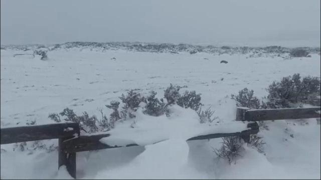 Nieve en La Laguna de los Peces de Sanabria, Zamora