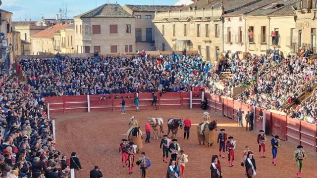 Novillada con picadores en el Carnaval del Toro de Ciudad Rodrigo