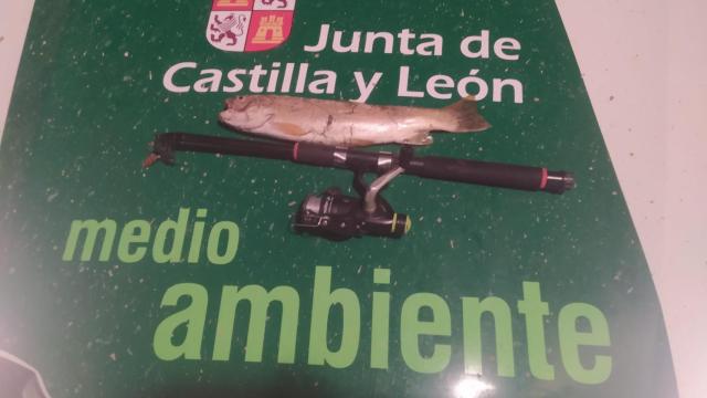 Ejemplar de trucha común capturada furtivamente en el río Ucero.